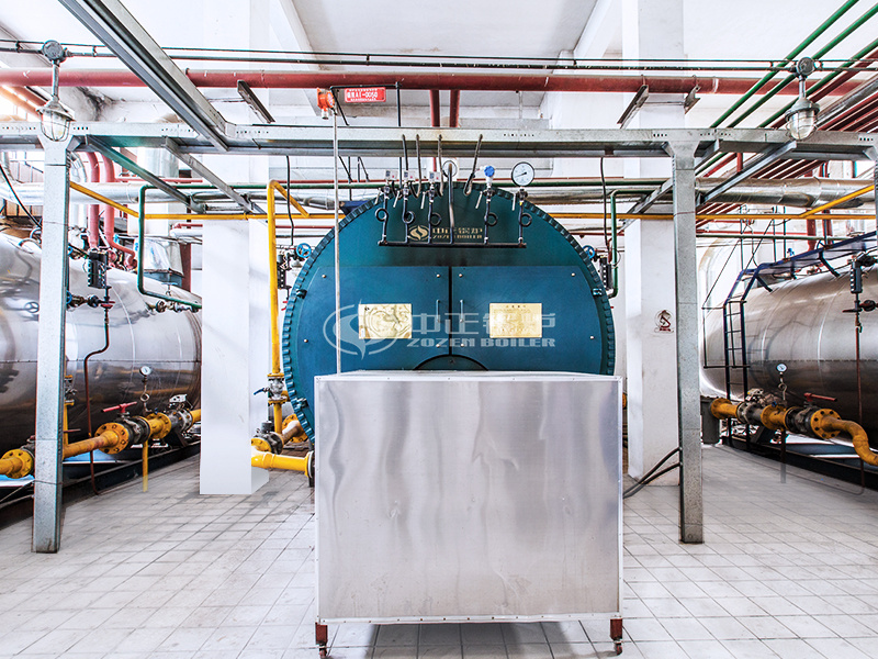 金新農(nóng)飼料4噸WNS系列冷凝式燃?xì)忮仩t項(xiàng)目 金新農(nóng)飼料4噸WNS系列冷凝式燃?xì)忮仩t項(xiàng)目